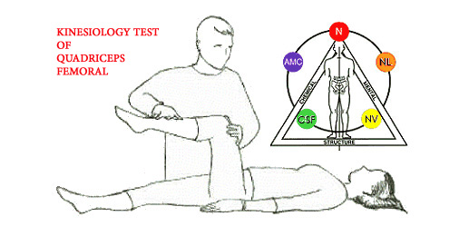 Example of kinesiological tests